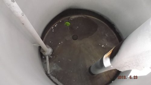 230 GALLON S/S SINGLE WALL TANK - Image 4