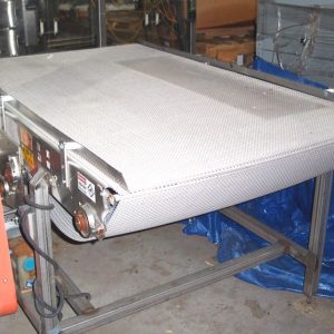 S/S FRAME NEOPRENE & INTRALOX BELT CONVEYORS