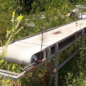 S/S FRAME NEOPRENE & INTRALOX BELT CONVEYORS