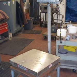 ALL S/S DIGITAL PLATFORM SCALE