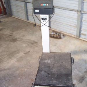 S/S DIGITAL PLATFORM SCALE