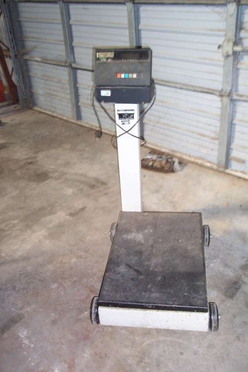 S/S DIGITAL PLATFORM SCALE